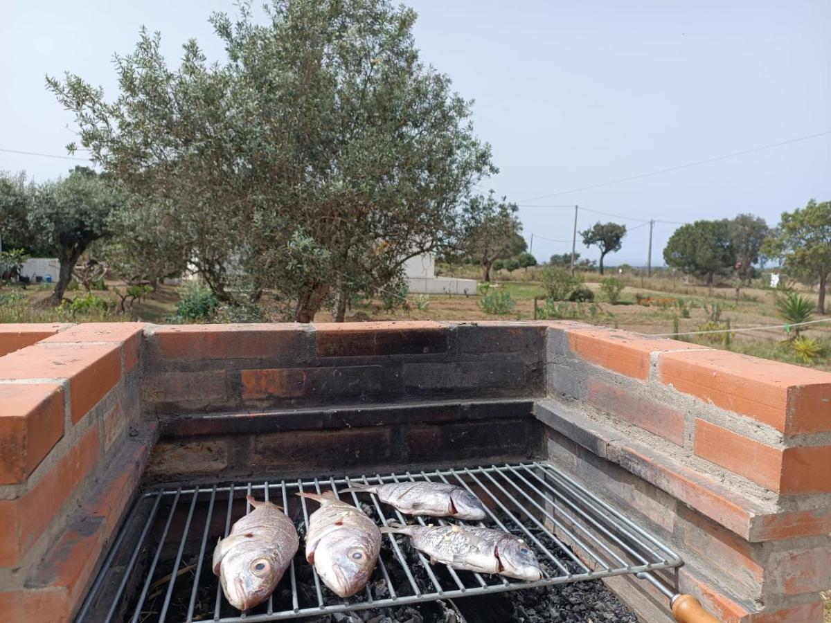 Casas Do Montinho Βίλα Melides Εξωτερικό φωτογραφία