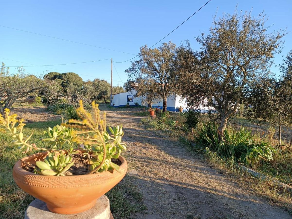 Casas Do Montinho Βίλα Melides Εξωτερικό φωτογραφία